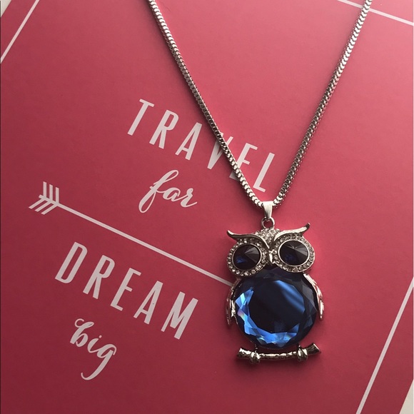 NWT Blue Gem Rhinestone Owl Necklace - Picture 3 of 4