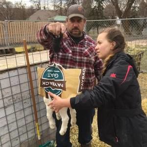 Meet your Posher, Jordan