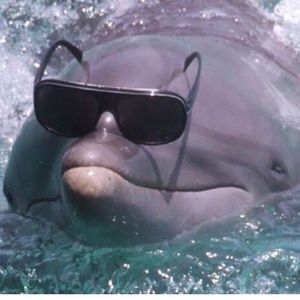 Meet your Posher, Stephen