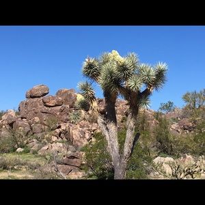 Meet your Posher, Lynda