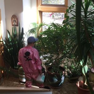 Meet your Posher, Joaquin