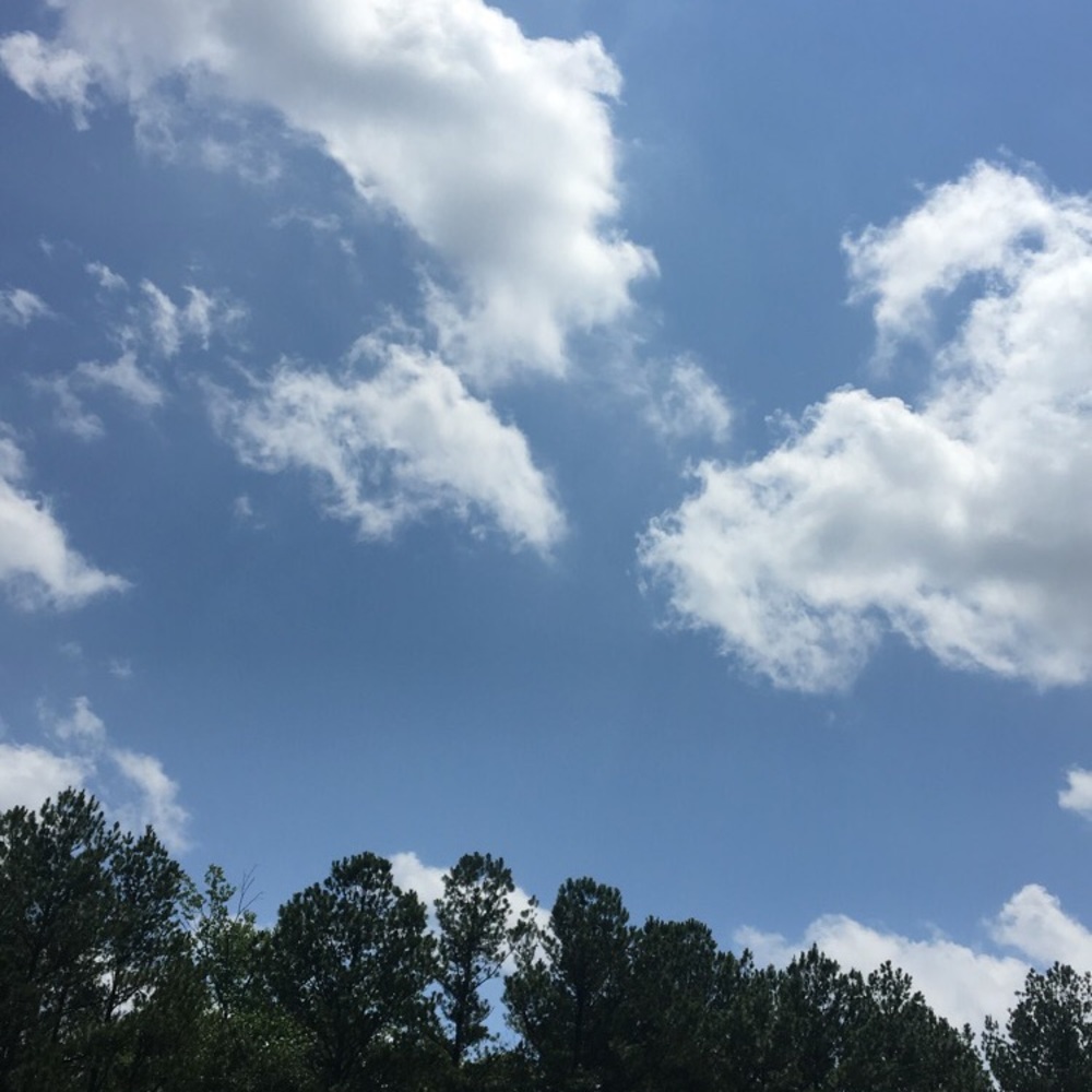 Meet your Posher, Stevee