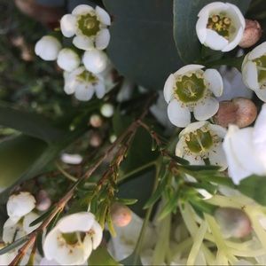 Meet your Posher, Arlene