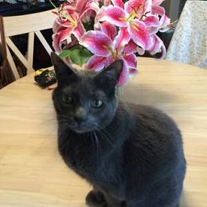 Meet your Posher, Beverly