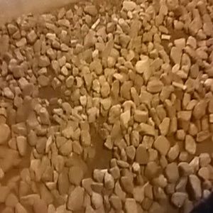 Meet your Posher, Ezekiel