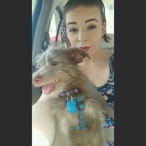 Meet your Posher, Savannah