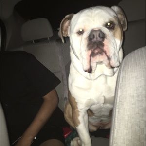 Meet your Posher, Daniel