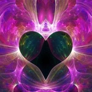 Meet your Posher, Toni