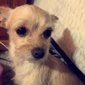 Meet your Posher, Vi