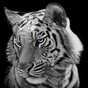 Meet your Posher, Katrina