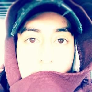 Meet your Posher, Benjamin