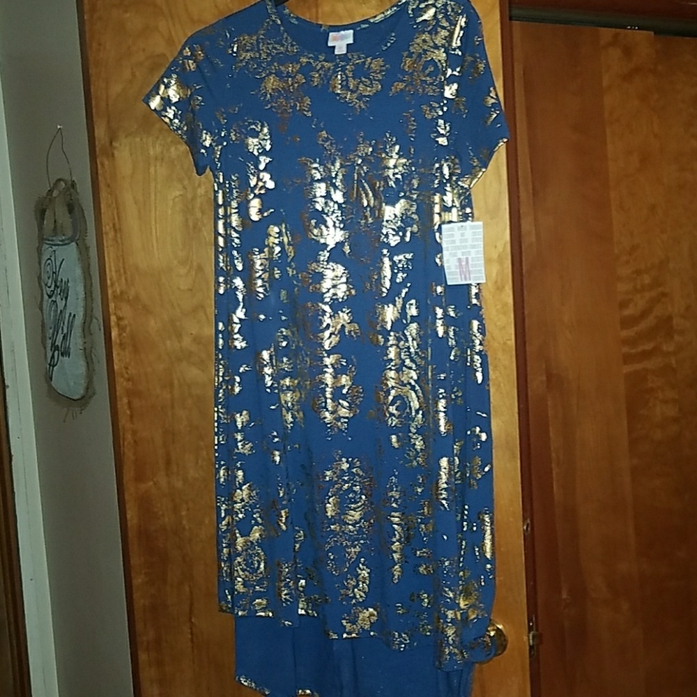 NWT Beautiful Lularoe Carly dress!