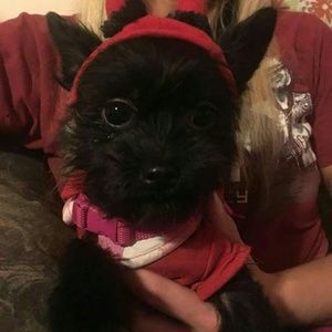 Meet your Posher, Kim