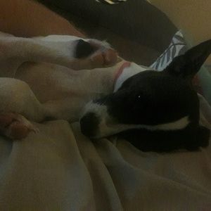 Meet your Posher, Felicia