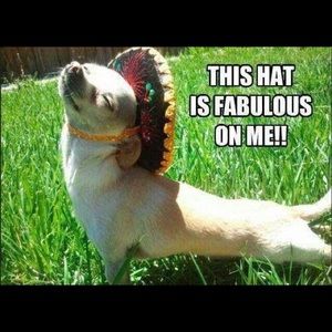 FIRST DAY OF SUMMER!