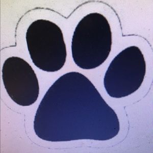 Meet your Posher, Ana