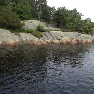 Meet your Posher, Betsy