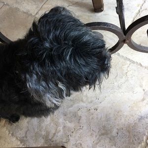 Meet your Posher, Holly