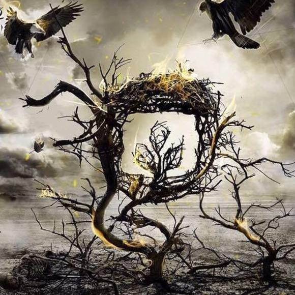 Meet your Posher, Renee - Picture 1 of 1