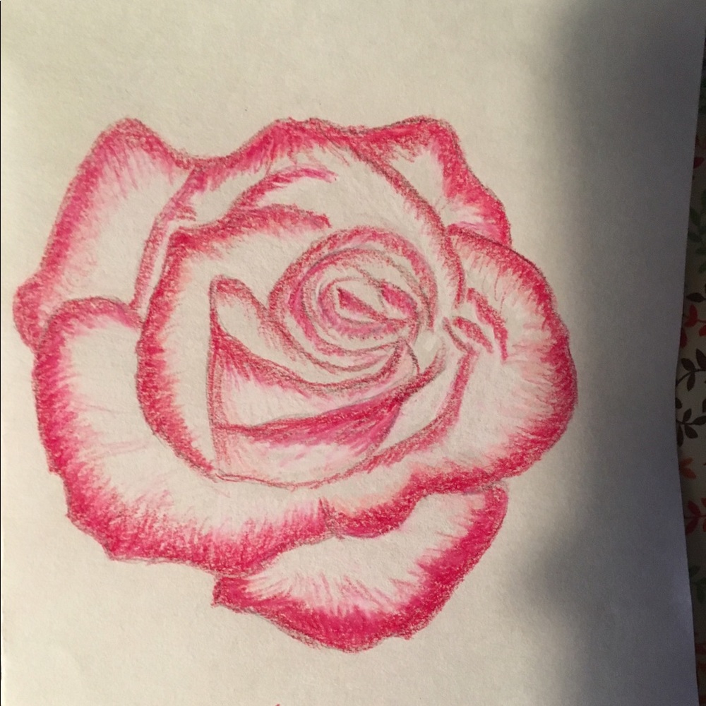 Meet your Posher, Brigit