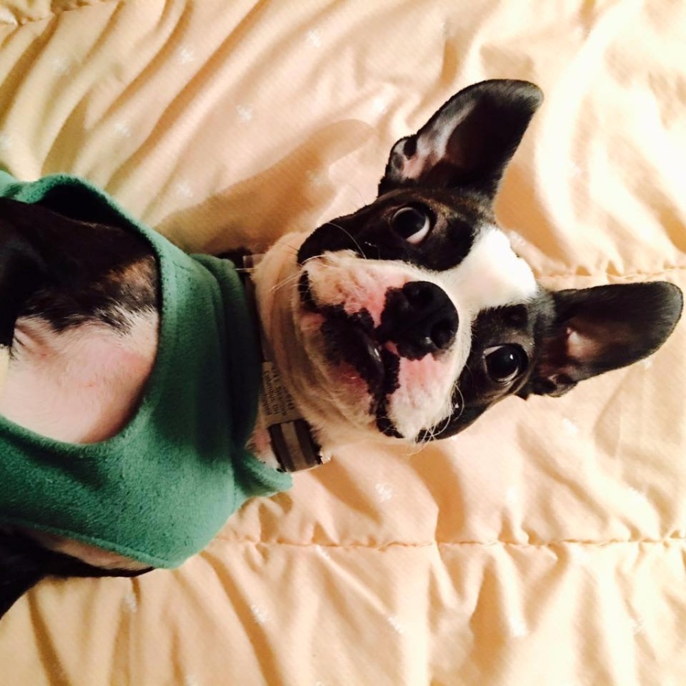 Meet your Posher, Andrea