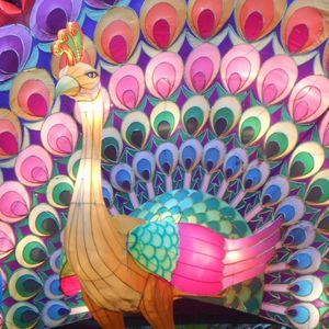 Meet your Posher, Patti