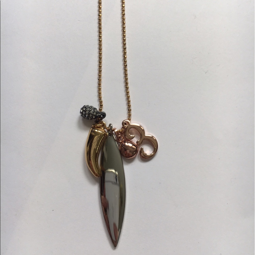 Long Charm Necklace