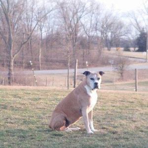 Meet your Posher, Sandy