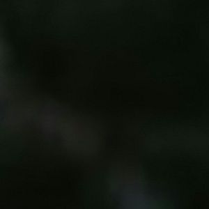 Meet your Posher, Clarence