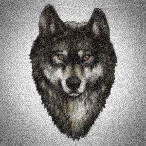 Meet your Posher, Nathan