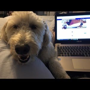 Meet your Posher, Julie