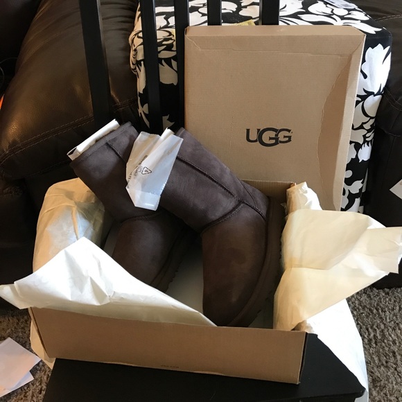 UGG Shoes - Brand New, Never Worn Womens Classic Short II Uggs
