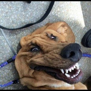 Meet your Posher, Adolfo