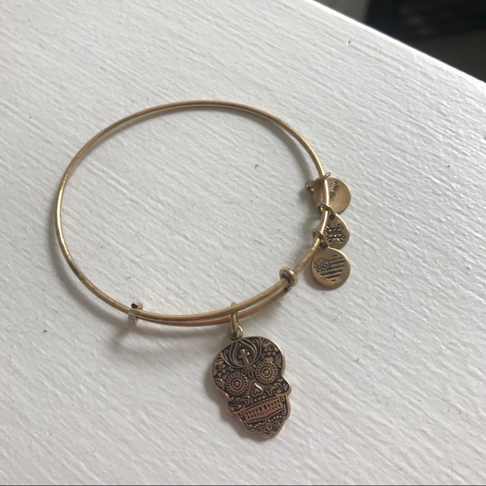 Alex and Ani Skull Bracelet