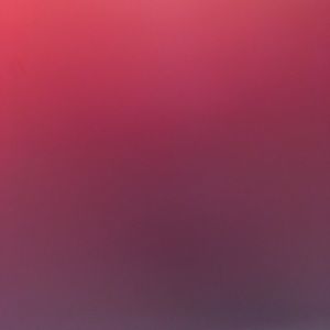 Meet your Posher, Maisha