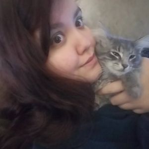 Meet your Posher, Destiny