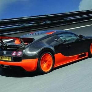 Meet your Posher, Cody