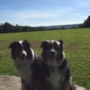 Meet your Posher, Kevin