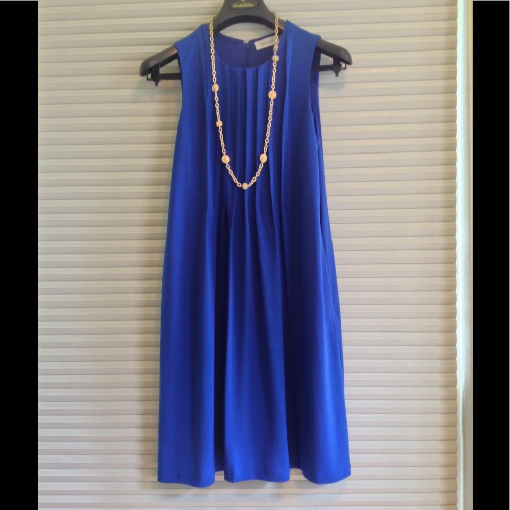 Calvin Klein Blue Dress