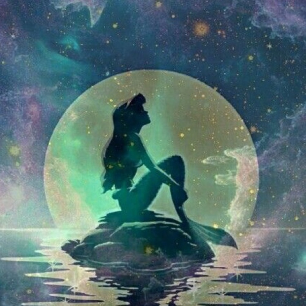 Meet your Posher, Ivy