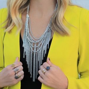 NWOT Kendra Scott Landry Silver Fringe Necklace