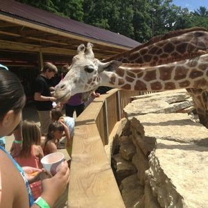 Meet your Posher, Agui