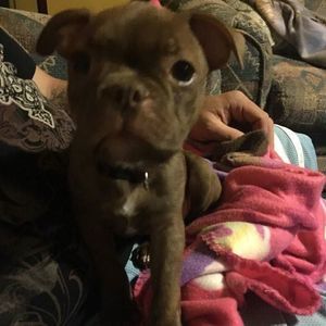 Meet your Posher, Robbie