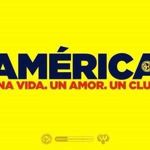 Meet your Posher, Carlos