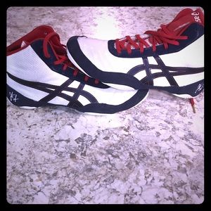 Wrestling shoes