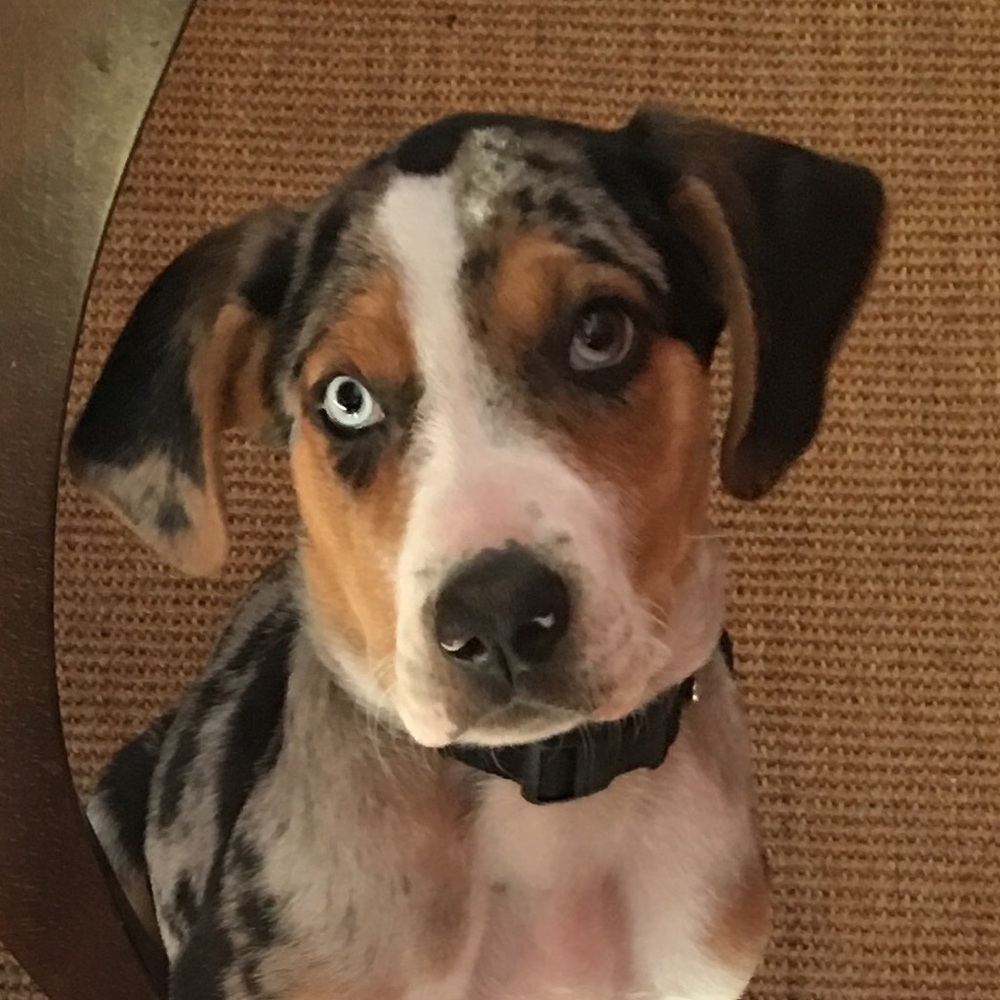 Meet your Posher, Randy