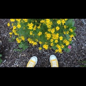 Meet your Posher, Ella