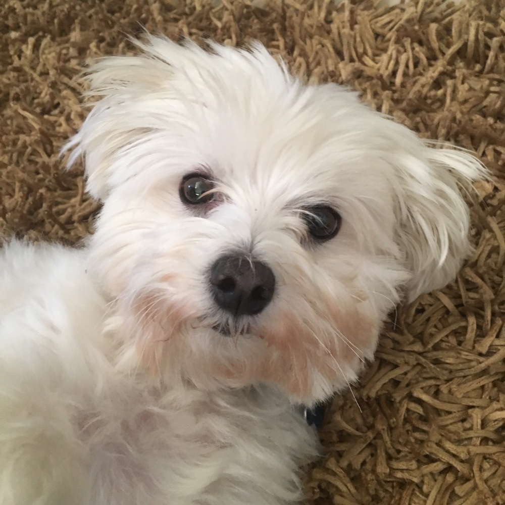 Meet your Posher, Becca