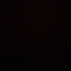 Meet your Posher, Oscar