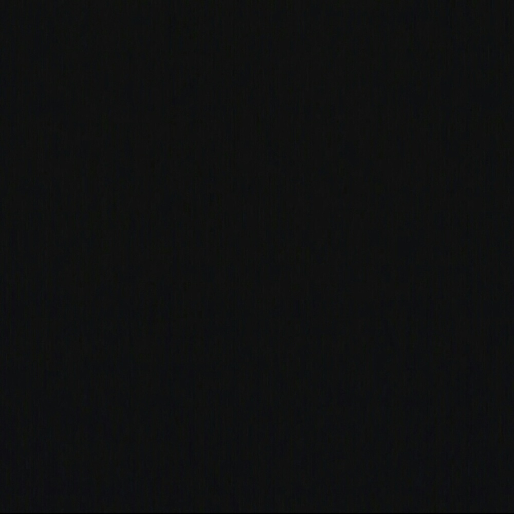 Meet your Posher, Rose